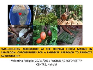 SMALLHOLDERS’ AGRICULTURE AT THE TROPICAL FOREST MARGIN IN
CAMEROON: OPPORTUNITIES FOR A LANDSCPE APPROACH TO PROMOTE
AGROFORESTRY
      Valentina Robiglio, 29/11/2011 WORLD AGROFORESTRY
                           CENTRE, Nairobi
 