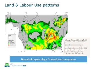 Land & Labour Use patterns
Diversity in agroecology  mixed land use systems
 