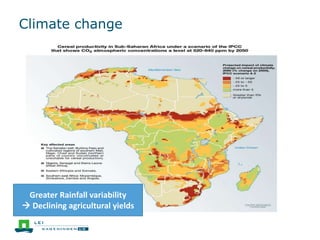 Climate change
Greater Rainfall variability
 Declining agricultural yields
 
