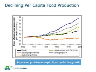 Declining Per Capita Food Production
Population growth rate > Agricultural production growth
 