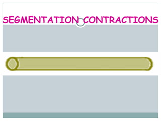 SEGMENTATION CONTRACTIONS
 