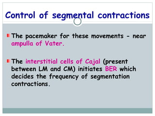 Control of segmental contractions

 The pacemaker for these movements - near
 ampulla of Vater.

 The interstitial cells of Cajal (present
 between LM and CM) initiates BER which
 decides the frequency of segmentation
 contractions.
 