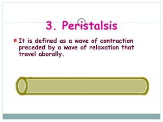 3. Peristalsis
It is defined as a wave of contraction
preceded by a wave of relaxation that
travel aborally.
 
