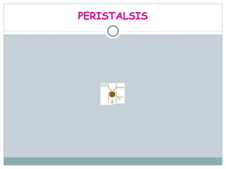 PERISTALSIS
 