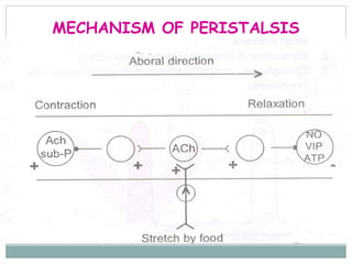 MECHANISM OF PERISTALSIS
 