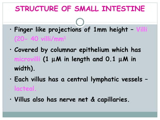 STRUCTURE OF SMALL INTESTINE

• Finger like projections of 1mm height – Villi
 (20- 40 villi/mm2)
• Covered by columnar epithelium which has
 microvilli (1 µM in length and 0.1 µM in
 width).
• Each villus has a central lymphatic vessels –
 lacteal.
• Villus also has nerve net & capillaries.
 