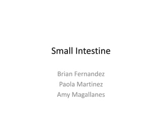 Small Intestine
Brian Fernandez
Paola Martinez
Amy Magallanes
 