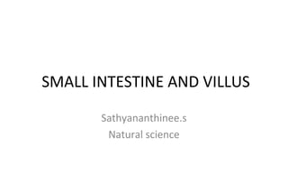 SMALL INTESTINE AND VILLUS 
Sathyananthinee.s 
Natural science 
 
