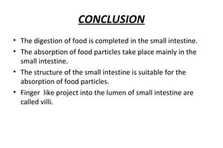 CONCLUSION 
• The digestion of food is completed in the small intestine. 
• The absorption of food particles take place mainly in the 
small intestine. 
• The structure of the small intestine is suitable for the 
absorption of food particles. 
• Finger like project into the lumen of small intestine are 
called villi. 
 