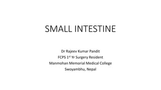 SMALL INTESTINE
Dr Rajeev Kumar Pandit
FCPS 1st Yr Surgery Resident
Manmohan Memorial Medical College
Swoyambhu, Nepal
 