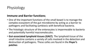 Physiology
Immune and Barrier functions;
• One of the important functions of the small bowel is to manage the
complex ecosystem of the gut microbiome by acting as a barrier to
pathogens and facilitating symbiosis with beneficial bacteria.
• The histologic structure of the enterocytes is impermeable to bacteria
and potentially harmful macromolecules.
• Gut-associated lymphoid tissues (GALT). The lymphoid tissue of the
small intestine contains a variety of cells involved in the detection and
destruction of pathogens. These celles are found in the Peyer’s
patches
 
