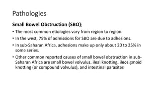 Pathologies
Small Bowel Obstruction (SBO);
• The most common etiologies vary from region to region.
• In the west, 75% of admissions for SBO are due to adhesions.
• In sub-Saharan Africa, adhesions make up only about 20 to 25% in
some series.
• Other common reported causes of small bowel obstruction in sub-
Saharan Africa are small bowel volvulus, ileal knotting, ileosigmoid
knotting (or compound volvulus), and intestinal parasites
 