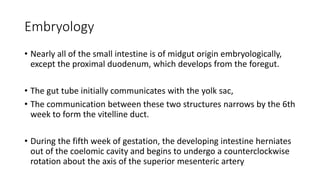 Embryology
• Nearly all of the small intestine is of midgut origin embryologically,
except the proximal duodenum, which develops from the foregut.
• The gut tube initially communicates with the yolk sac,
• The communication between these two structures narrows by the 6th
week to form the vitelline duct.
• During the fifth week of gestation, the developing intestine herniates
out of the coelomic cavity and begins to undergo a counterclockwise
rotation about the axis of the superior mesenteric artery
 