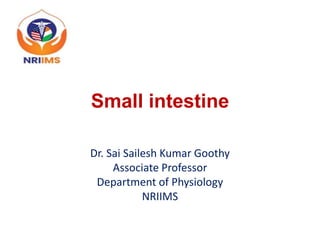 Small intestine
Dr. Sai Sailesh Kumar Goothy
Associate Professor
Department of Physiology
NRIIMS
 