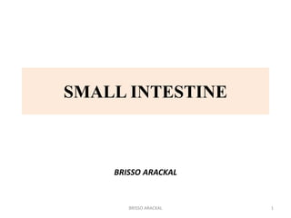 SMALL INTESTINE
BRISSO ARACKAL
1
BRISSO ARACKAL
 