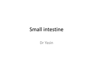 Small intestine
Dr Yasin
 