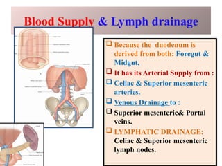 Blood Supply & Lymph drainage
 Because the duodenum is
derived from both: Foregut &
Midgut,
 It has its Arterial Supply from :
 Celiac & Superior mesenteric
arteries.
 Venous Drainage to :
 Superior mesenteric& Portal
veins.
 LYMPHATIC DRAINAGE:
Celiac & Superior mesenteric
lymph nodes.
 