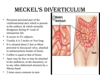 Meckel’s diverticulum
• Persistent proximal part of the
vitellointestinal duct which is present
in the embryo, & which normally
disappears during 6th
week of
intrauterine life.
• It occurs in 2% subjects.
• Usually it is 2 inches or 5cm long.
• It is situated about 2 feet or 60cm
proximal to ileocaecal valve, attached
to antimesenteric border of ileum.
• Calibre is equal to that of ileum.
• Apex may be free or may be attached
to the umbilicus, to the mesentery, or
to any other abdominal structure by a
fibrous band.
• 2 times more common in men
 