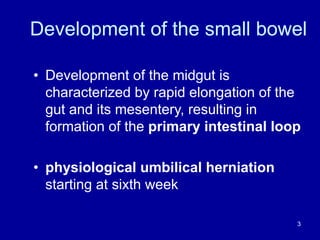 Development of the small bowel
• Development of the midgut is
characterized by rapid elongation of the
gut and its mesentery, resulting in
formation of the primary intestinal loop
• physiological umbilical herniation
starting at sixth week
3
 
