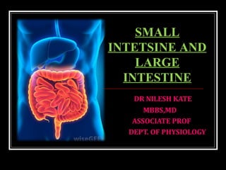 DR NILESH KATE
MBBS,MD
ASSOCIATE PROF
DEPT. OF PHYSIOLOGY
SMALL
INTETSINE AND
LARGE
INTESTINE
 