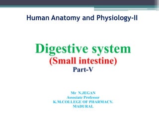 Human Anatomy and Physiology-II
Digestive system
(Small intestine)
Part-V
Mr N.JEGAN
Associate Professor
K.M.COLLEGE OF PHARMACY.
MADURAI.
 