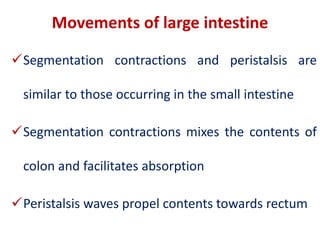 Small intestine and large intestine- BPT.pptx