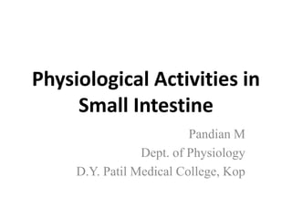 Physiological Activities in
Small Intestine
Pandian M
Dept. of Physiology
D.Y. Patil Medical College, Kop
 