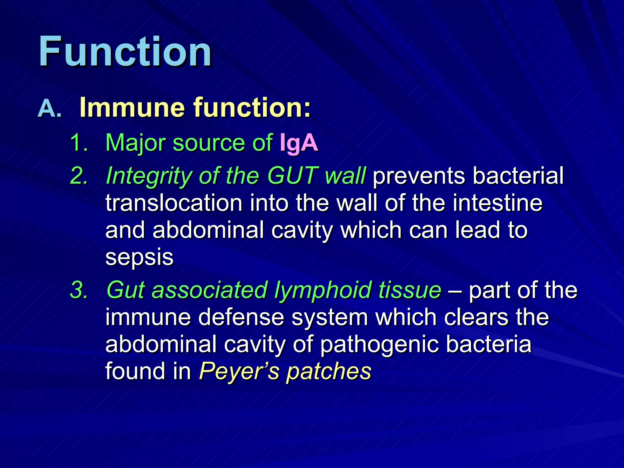 Function Immune function: Major source of   IgA Integrity of the GUT wall  prevents bacterial translocation into the wall of the intestine and abdominal cavity which can lead to sepsis Gut associated lymphoid tissue  – part of the immune defense system which clears the abdominal cavity of pathogenic bacteria found in  Peyer’s patches 