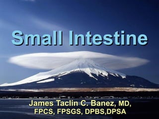 Small Intestine
Small Intestine
James Taclin C. Banez,
James Taclin C. Banez, MD,
MD,
FPCS, FPSGS, DPBS,DPSA
FPCS, FPSGS, DPBS,DPSA
 