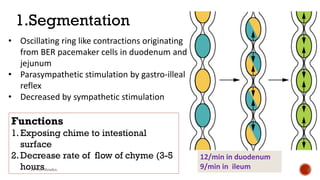 Small intestine Nutrition pdf. Dr Tim Wiyule Mutafya. General surgery ...