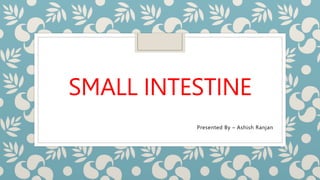 SMALL INTESTINE
Presented By – Ashish Ranjan
 