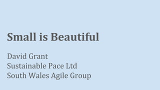 Small is Beautiful
David Grant
Sustainable Pace Ltd
South Wales Agile Group
 