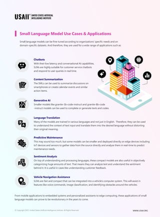What are Small Language Models (SLMs) – A Brief Guide | USAII® | PDF