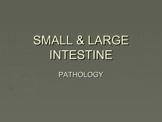 SMALL & LARGE
  INTESTINE
   PATHOLOGY
 