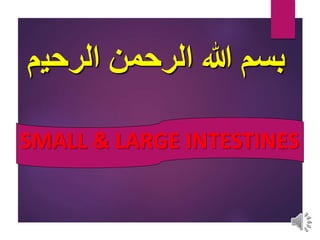 ‫الرحي‬ ‫الرحمن‬ ‫هللا‬ ‫بسم‬
‫م‬
SMALL & LARGE INTESTINES
 