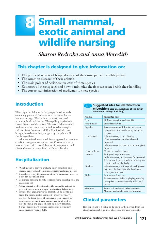 Small mammal exotic animal and wildlife nursing