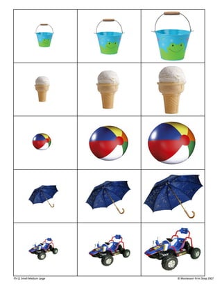 Small medium_large | PDF