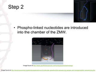 Step 2
• Phospho-linked nucleotides are introduced
into the chamber of the ZMW.
Image found at http://esciencecentral.org/ebooks/applications-of-molecular-genetics/dna-sequencing-sanger-and-nextgeneration-sequencing.php
Image found at http://www.pacificbiosciences.com/products/smrt-technology/
 
