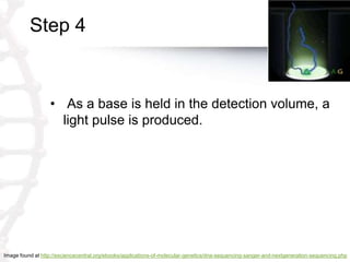 Step 4
• As a base is held in the detection volume, a
light pulse is produced.
Image found at http://esciencecentral.org/ebooks/applications-of-molecular-genetics/dna-sequencing-sanger-and-nextgeneration-sequencing.php
 