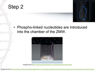 Step 2
• Phospho-linked nucleotides are introduced
into the chamber of the ZMW.
Image found at http://esciencecentral.org/...