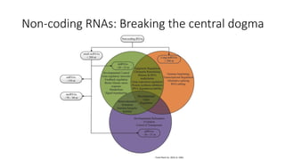 Non-coding RNAs: Breaking the central dogma
Front Plant Sci. 2015; 6: 1001.
 