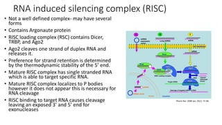 RNA induced silencing complex (RISC)
• Not a well defined complex- may have several
forms
• Contains Argonaute protein
• RISC loading complex (RSC) contains Dicer,
TRBP, and Ago2
• Ago2 cleaves one strand of duplex RNA and
releases it.
• Preference for strand retention is determined
by the thermodynamic stability of the 5’ end.
• Mature RISC complex has single stranded RNA
which is able to target specific RNA.
• Mature RISC complex localizes to P bodies
however it does not appear this is necessary for
RNA cleavage
• RISC binding to target RNA causes cleavage
leaving an exposed 3’ and 5’ end for
exonucleases
Pharm Res. 2008 Jan; 25(1): 72–86.
 