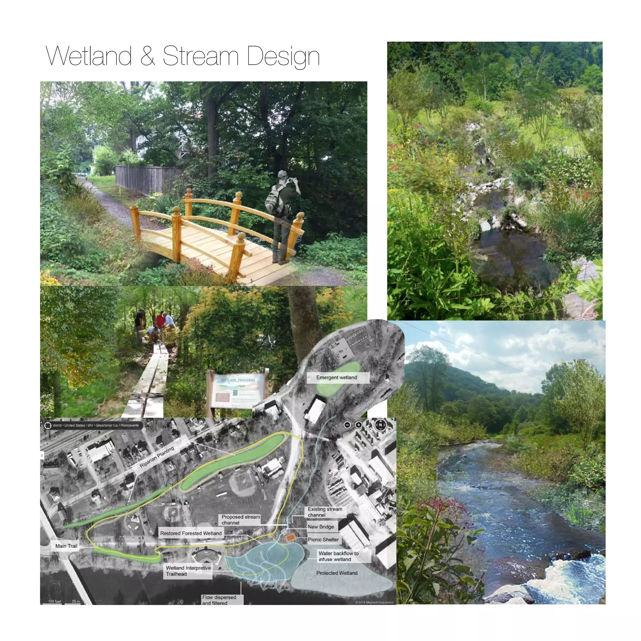 Wetland & Stream Design
 
