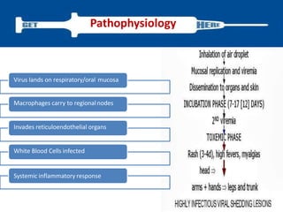 Pathophysiology
Virus lands on respiratory/oral mucosa
Macrophages carry to regionalnodes
Invades reticuloendothelial organs
White Blood Cells infected
Systemic inflammatory response
 