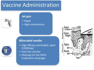 Vaccine Administration
Jet gun
• Rapid
• High maintenance
Bifurcated needle
• High efficacy, sterilizable, rapid
(1500/day)
• Uses less vaccine
• Mainstay for the WHO
eradication campaign
 