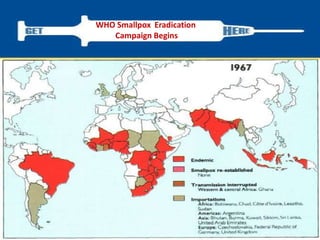 WHO Smallpox Eradication
Campaign Begins
 