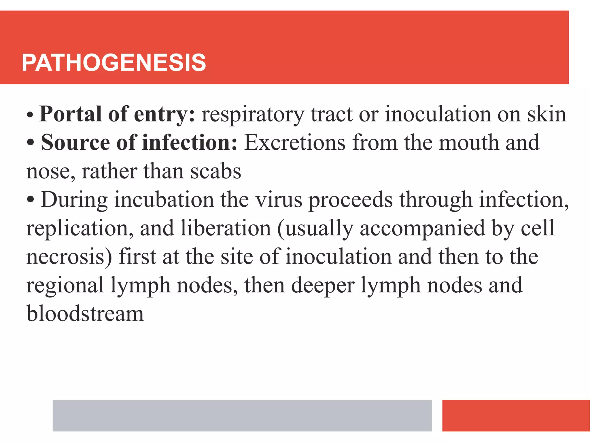 PATHOGENESIS
• Portal of entry: respiratory tract or inoculation on skin
• Source of infection: Excretions from the mouth and
nose, rather than scabs
• During incubation the virus proceeds through infection,
replication, and liberation (usually accompanied by cell
necrosis) first at the site of inoculation and then to the
regional lymph nodes, then deeper lymph nodes and
bloodstream
 