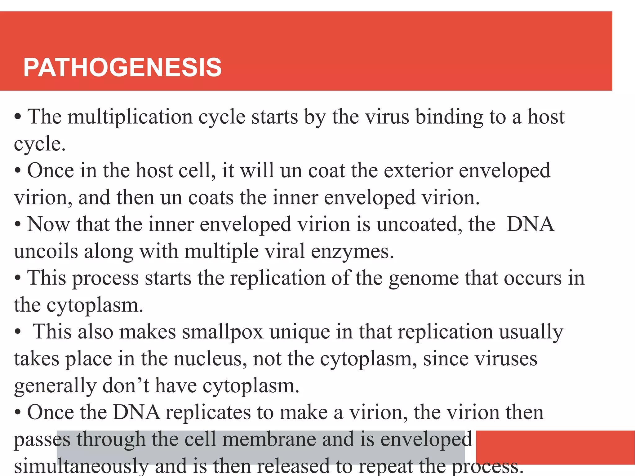 PATHOGENESIS
• The multiplication cycle starts by the virus binding to a host
cycle.
• Once in the host cell, it will un coat the exterior enveloped
virion, and then un coats the inner enveloped virion.
• Now that the inner enveloped virion is uncoated, the DNA
uncoils along with multiple viral enzymes.
• This process starts the replication of the genome that occurs in
the cytoplasm.
• This also makes smallpox unique in that replication usually
takes place in the nucleus, not the cytoplasm, since viruses
generally don’t have cytoplasm.
• Once the DNA replicates to make a virion, the virion then
passes through the cell membrane and is enveloped
simultaneously and is then released to repeat the process.
 