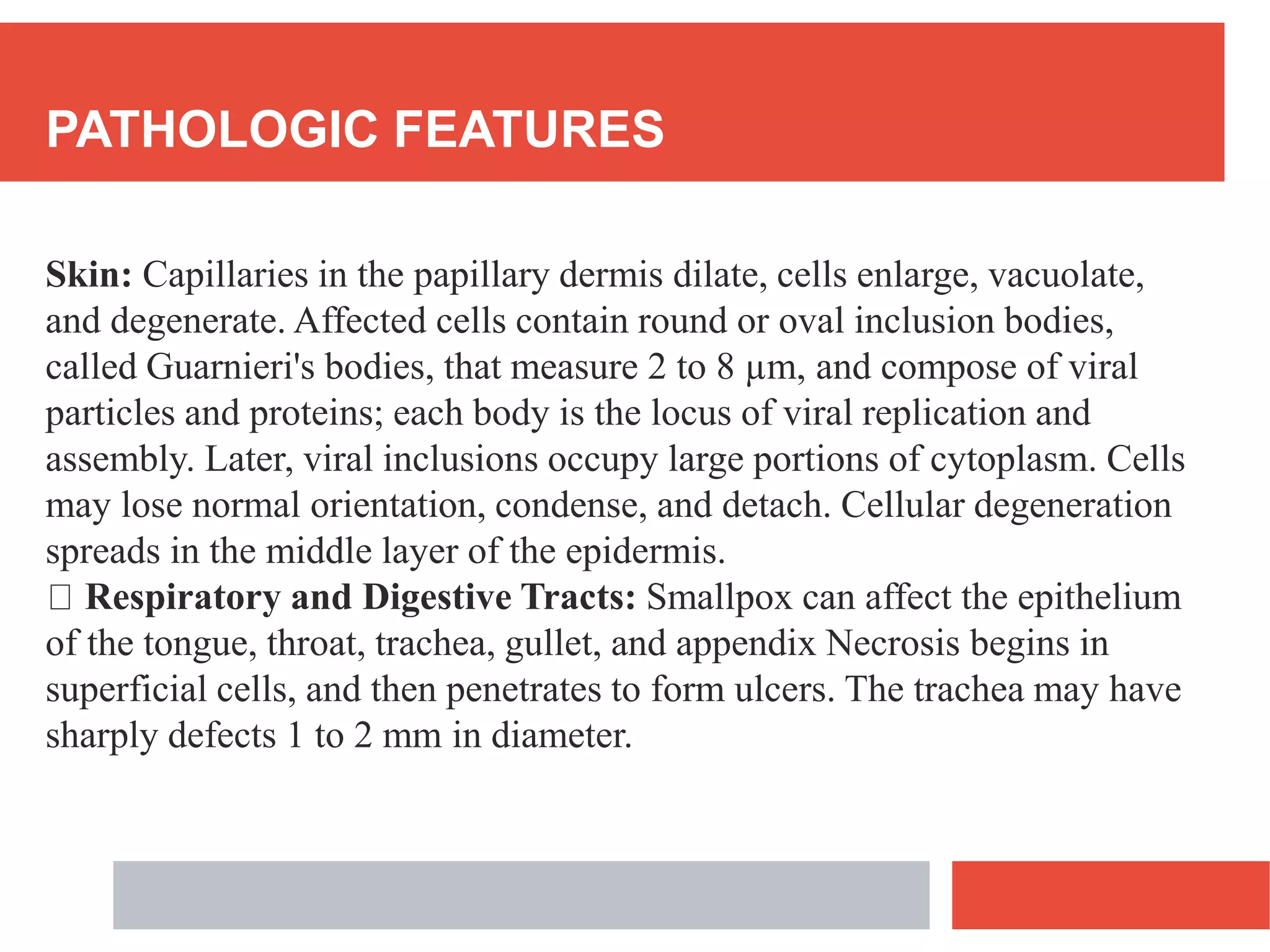 PATHOLOGIC FEATURES
Skin: Capillaries in the papillary dermis dilate, cells enlarge, vacuolate,
and degenerate. Affected cells contain round or oval inclusion bodies,
called Guarnieri's bodies, that measure 2 to 8 µm, and compose of viral
particles and proteins; each body is the locus of viral replication and
assembly. Later, viral inclusions occupy large portions of cytoplasm. Cells
may lose normal orientation, condense, and detach. Cellular degeneration
spreads in the middle layer of the epidermis.
Respiratory and Digestive Tracts: Smallpox can affect the epithelium
of the tongue, throat, trachea, gullet, and appendix Necrosis begins in
superficial cells, and then penetrates to form ulcers. The trachea may have
sharply defects 1 to 2 mm in diameter.
 