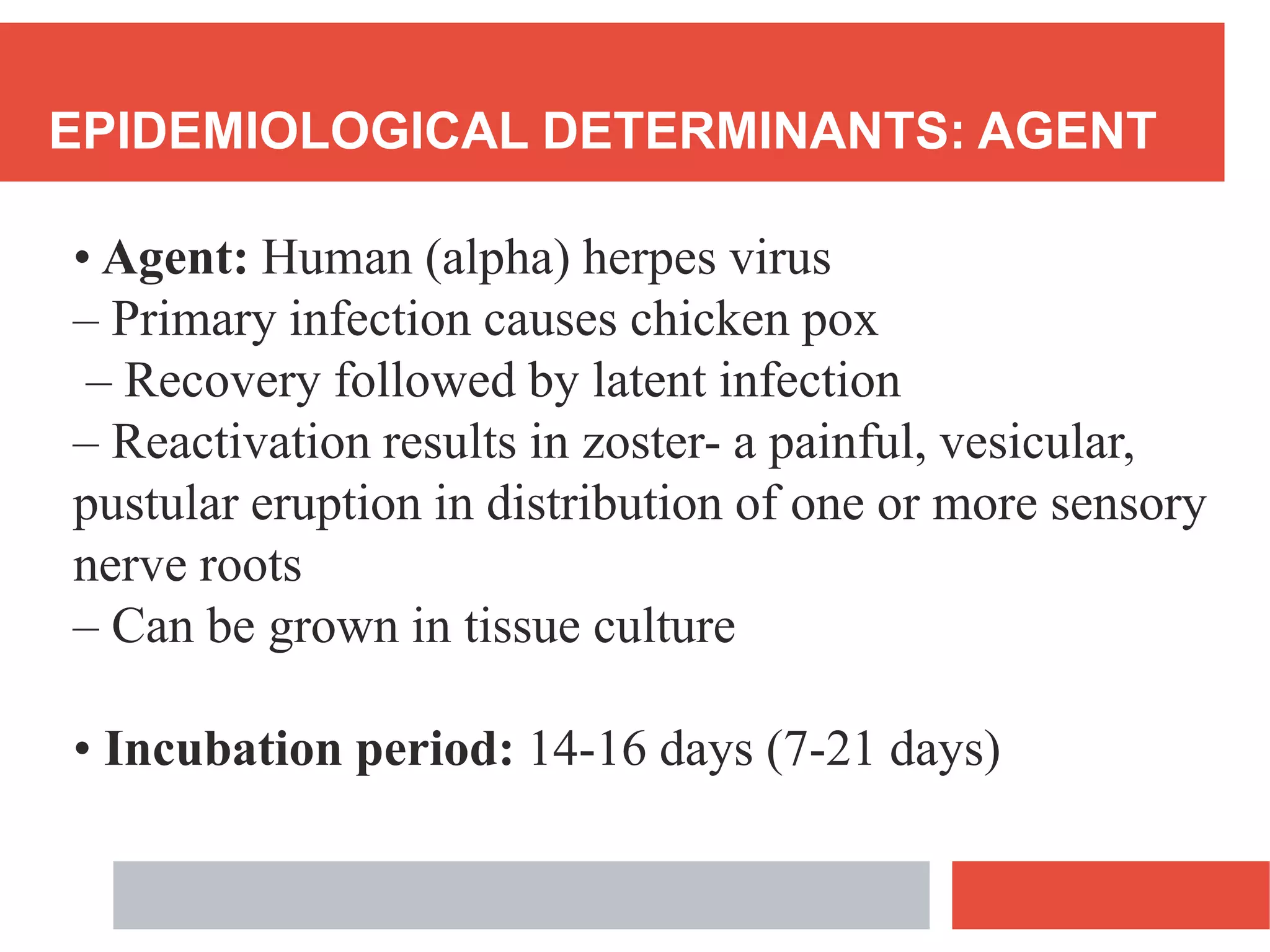 EPIDEMIOLOGICAL DETERMINANTS: AGENT
• Agent: Human (alpha) herpes virus
– Primary infection causes chicken pox
– Recovery followed by latent infection
– Reactivation results in zoster- a painful, vesicular,
pustular eruption in distribution of one or more sensory
nerve roots
– Can be grown in tissue culture
• Incubation period: 14-16 days (7-21 days)
 